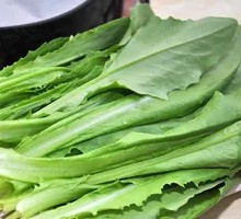 Oilseed lettuce