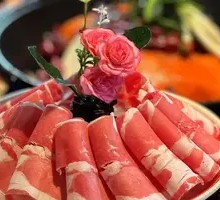 Premium Lamb