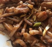 Squid