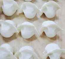 Pork and scallion dumplings