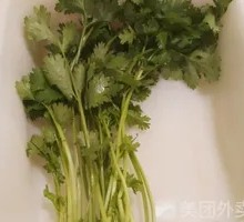 Cilantro