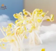 Mung Bean Sprouts