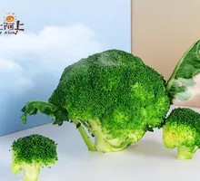 Broccoli