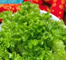 Romaine Lettuce