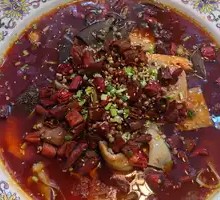 Premium Maoxuewang