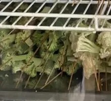 Broccoli