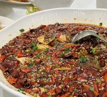 Premium Maoxuewang