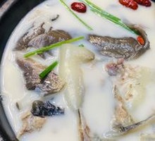 Steamed Softshell Turtle