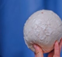 Fermented Soybean Dumpling