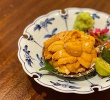 Sea Urchin