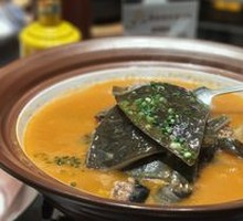 Premium Stewed Softshell Turtle