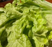 Lettuce