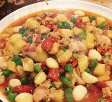 Young Ginger Tender Rabbit