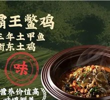 Bald Eagle Turtle Chicken