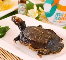 Spicy Softshell Turtle