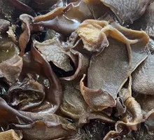 Wood Ear Mushroom