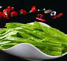 Oilseed lettuce
