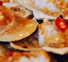 Scallop