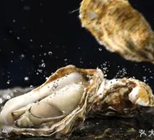 Oyster