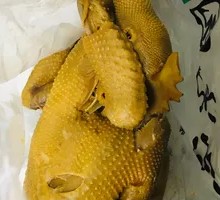 Traditional Hand-Torn Chicken