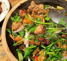 Sand Ginger Free-Range Chicken