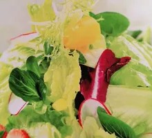 Mixed Vegetable Salad