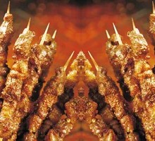 Night Market Lamb Skewers