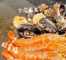 Argentine Red Shrimp