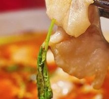 Freshwater River Catfish from Three Rivers