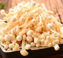 Enoki Mushroom