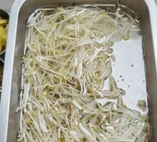 Mung Bean Sprouts