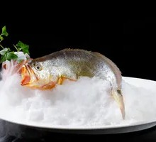 East China Sea Wild Yellow Croaker