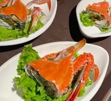 Red-Gilled Spider Crab