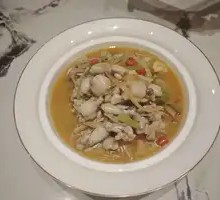 Young Ginger Flavored Bullfrog