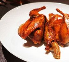 Tang Palace Gold Medal Pigeon