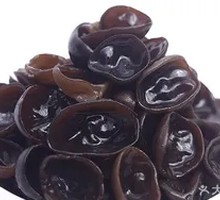 Northeast Black Fungus