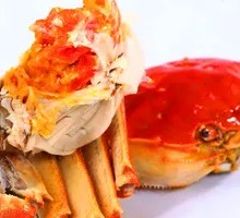 Yangcheng Lake Crab