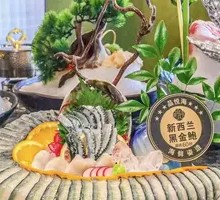 New Zealand Black Abalone