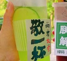 Cucumber Kiwi Sparkling Water