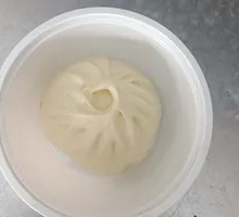 Pork and Scallion Dumplings