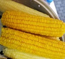 Sweet Corn