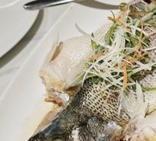 Steamed Sea Bass