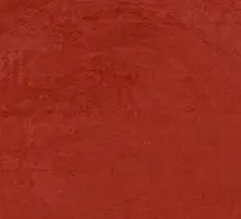 沙葱酸菜滩羊肉