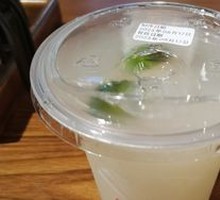 Lemon Probiotic Delight