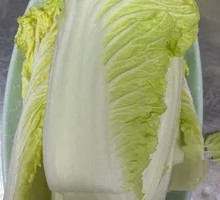 Chinese cabbage