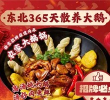 Northeastern Year Goose Pot