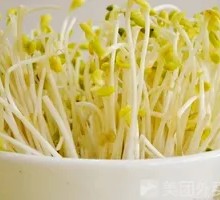 Mung Bean Sprouts