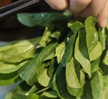 Chicken Greens