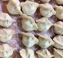 Scallion Pork Dumplings