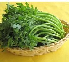 Bamboo Shoots